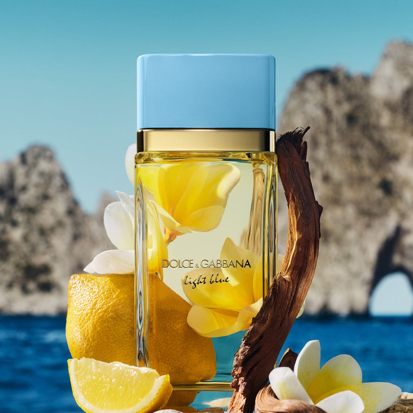 Dolce & Gabbana Light Blue 6.7oz Women EDP Spray by Dolce & Gabbana