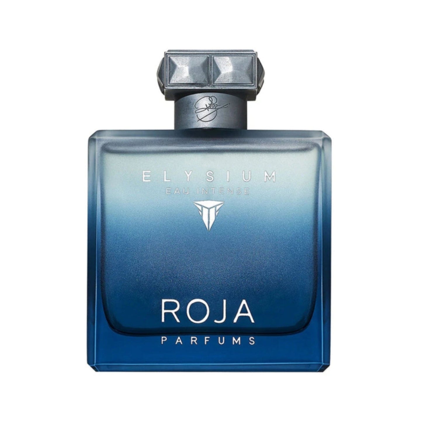 Roja Elysium Intense 3.4oz Men EDP Spray by Roja