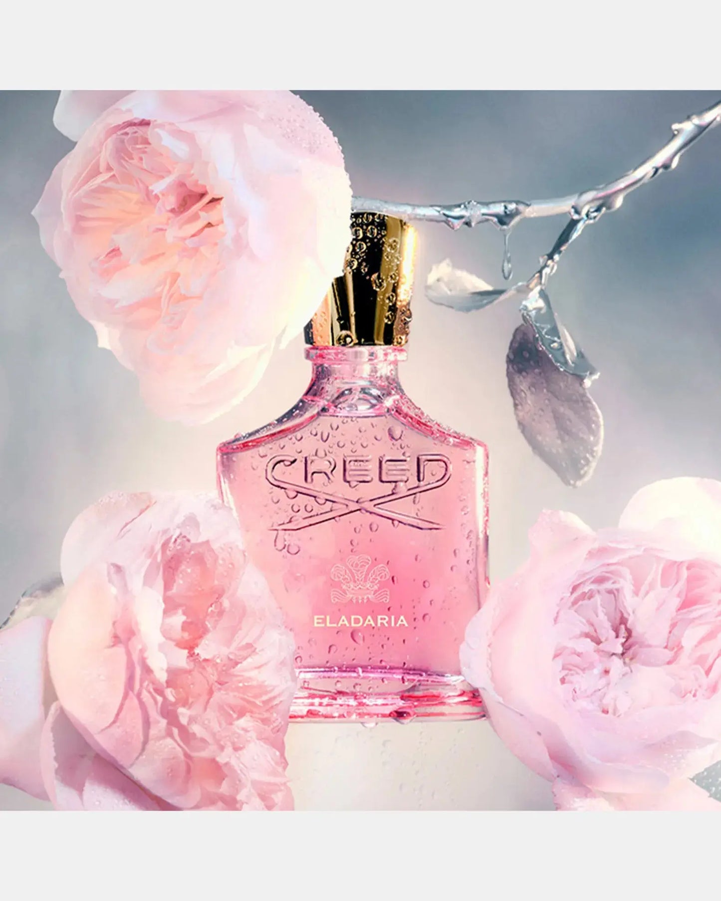 Eladaria by Creed elegant floral woody scent for women
