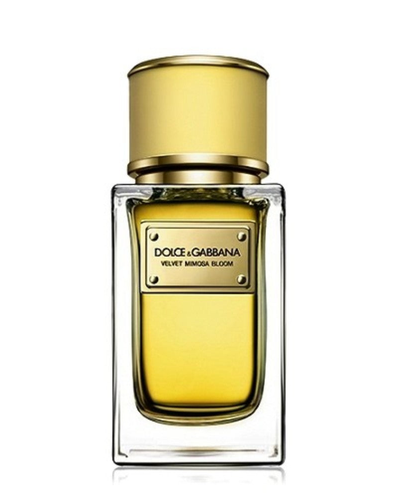 Dolce & Gabbana Velvet Ginestra 5.0oz Women EDP Spray by Dolce & Gabbana